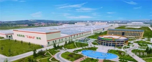 行业唯一 双星伊克斯达入选国家生态环境部科技成果转化典型案例