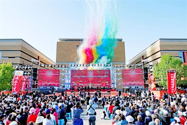 赛轮 TERRAMAX RT 越野胎助力长城车队征服极限赛事