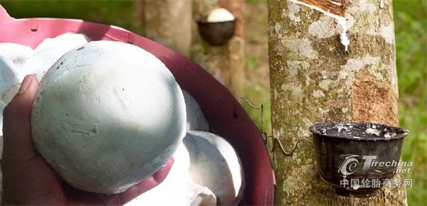 首批零关税泰国橡胶，9月试点