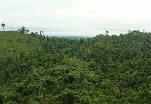 坚持可持续发展，米其林全资收购这一项目