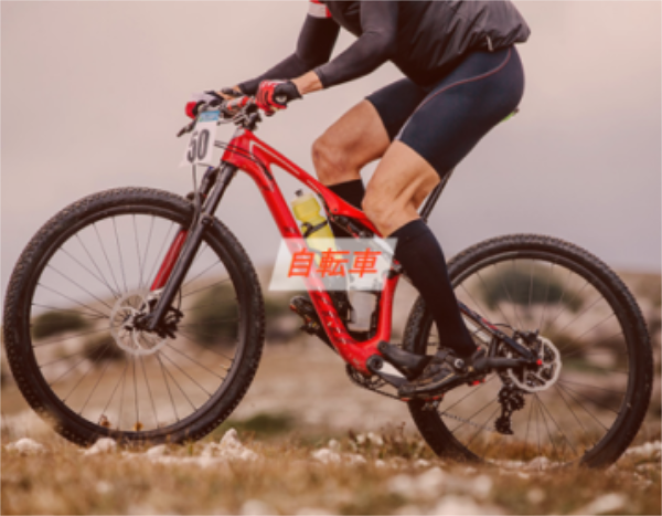 2022欧洲自行车展，正新轮胎携多款优势产品重磅亮相