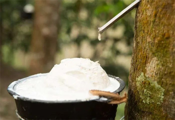 【轮胎周报】零关税橡胶即将试点；液体黄金轮胎时尚系列上市；佳通护航人车接力中国赛；正新获叉车主机厂认可；三角入选供应链百强